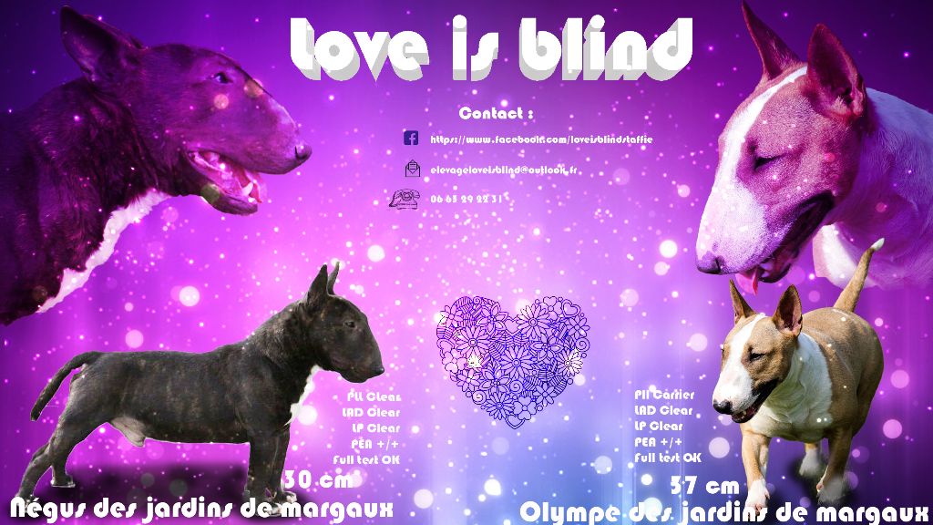 Love Is Blind - Petits bébés attendus :-)