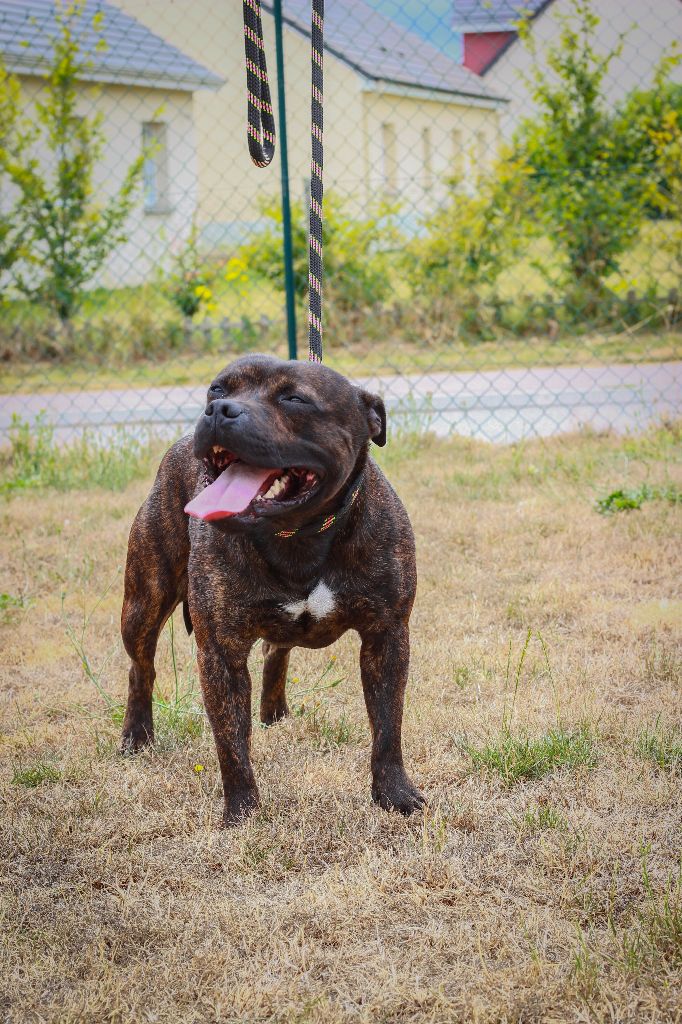 Love Is Blind Near wild heaven