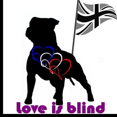 Love Is Blind